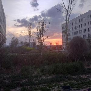 国产无套精品一区二区
